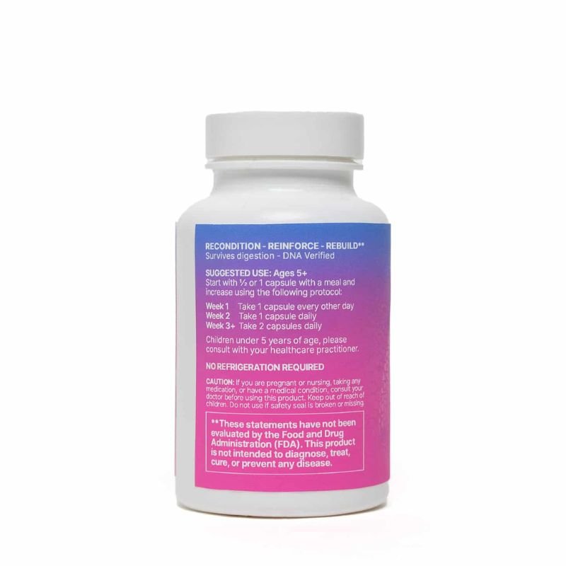 MegaSporeBiotic™ Probiotic - Accelerated Health Products